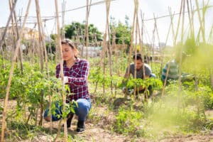 Farm workers working in irrigation built with agricultural fasteners